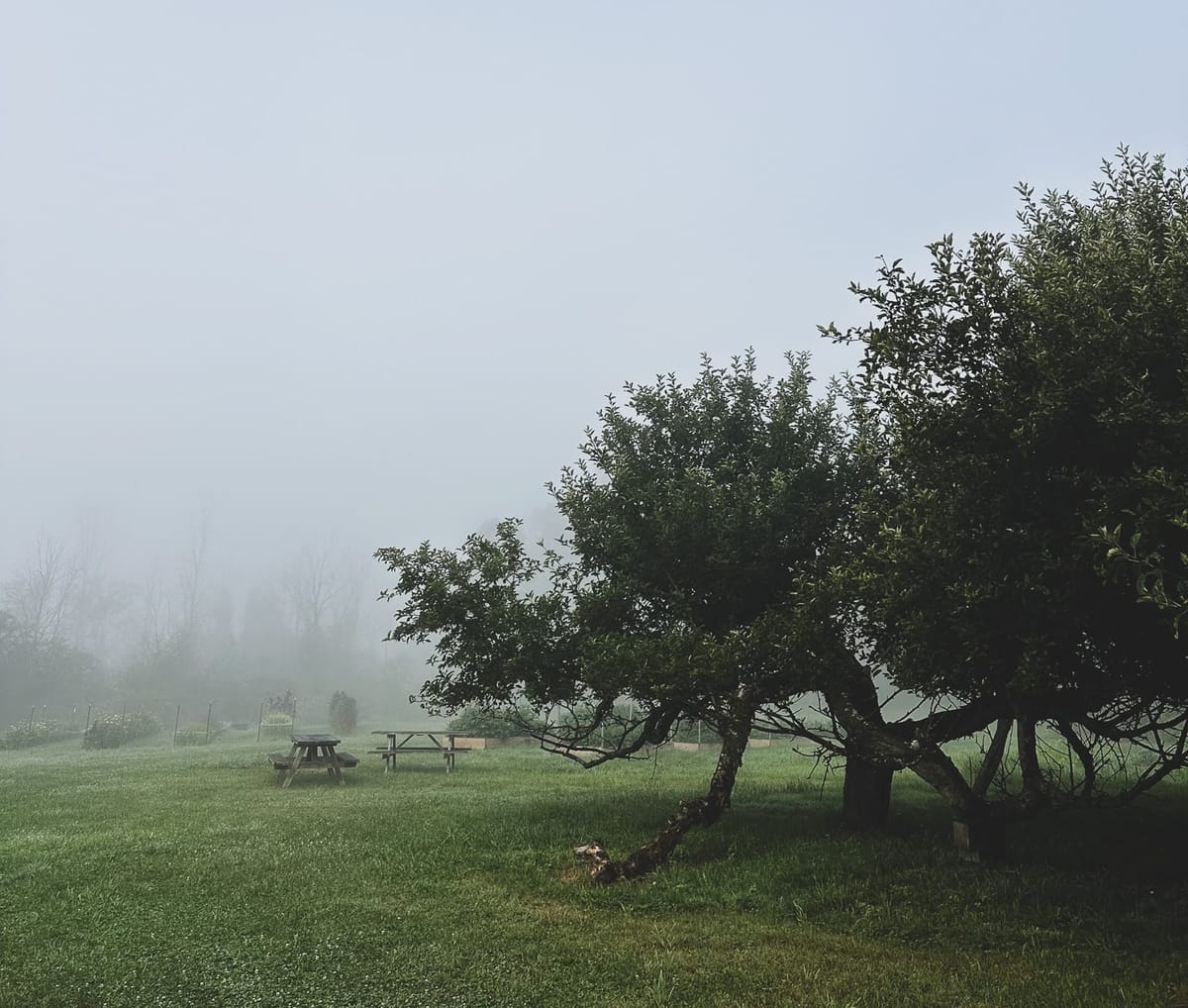 How to Begin Again (While Everyone Is Watching)