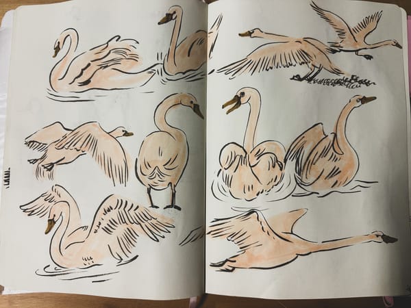 New Year, New Sketchbook Routine